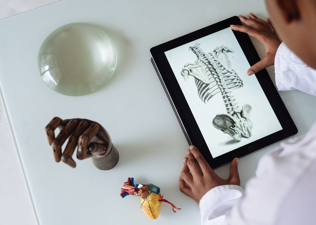 participação feminina na ciência - mesa branco com tablet,  objetos de anatomia e mãos de uma pessoas tocando-os